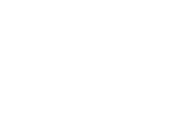 Chattanooga Web Design Logo: Music City Archery