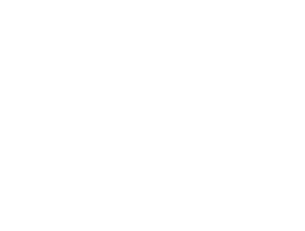 Chattanooga Web Design Logo: Saint Goose Wine and Spirits