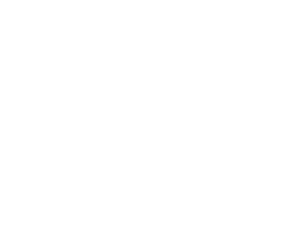 Chattanooga Web Design Logo: Classic Blinds