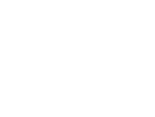 Chattanooga Web Design Logo: Northwind Partners