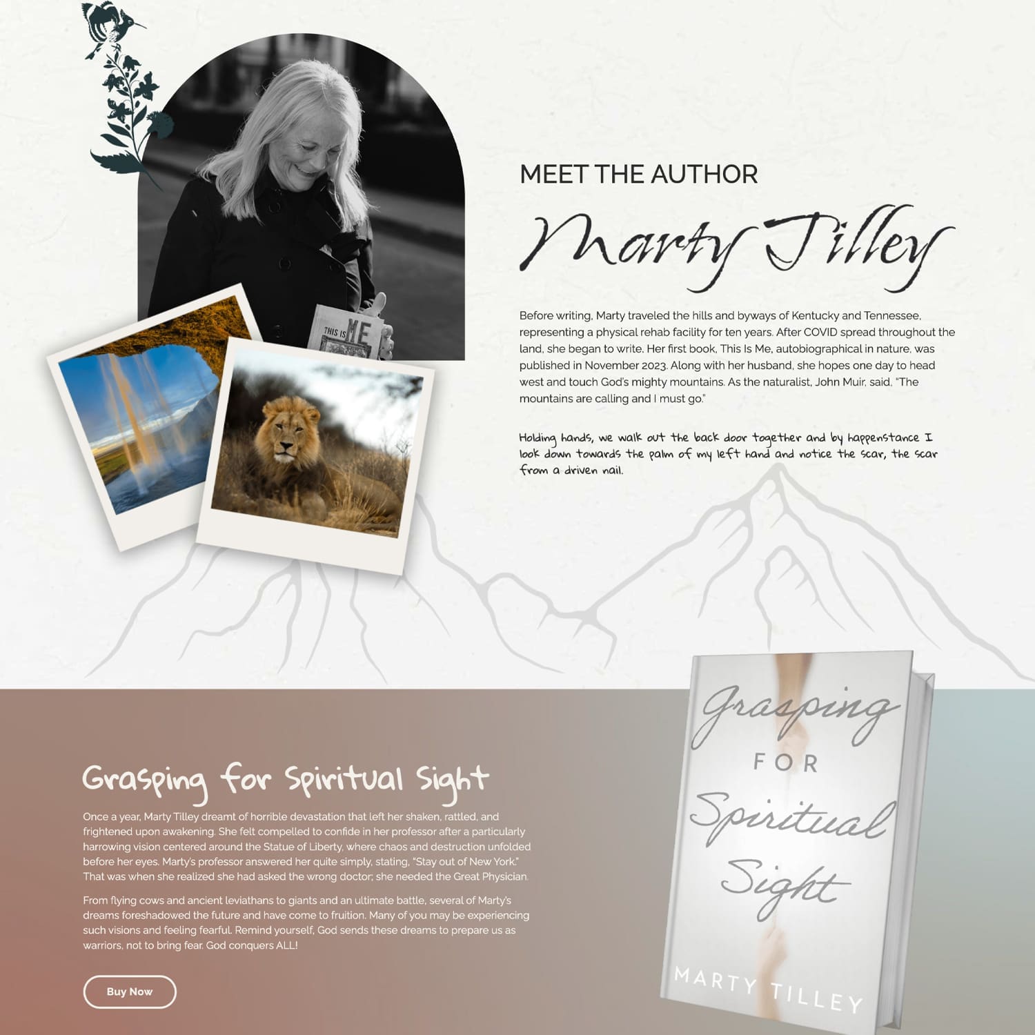 Chattanooga Website Design: Marty Tilly
